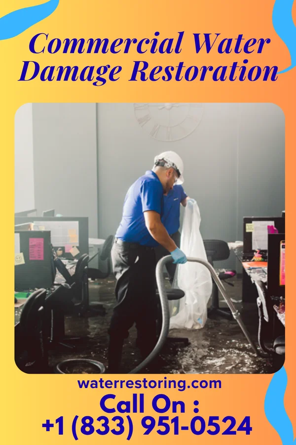 Commercial Water Damage Restoration in Huachuca City, AZ