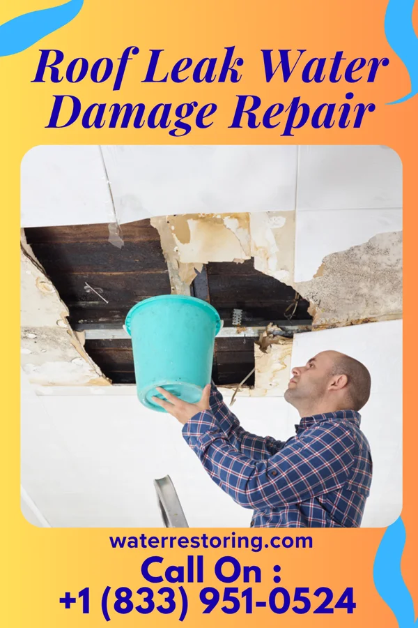 Roof Leak Water Damage Repair in Huachuca City, AZ